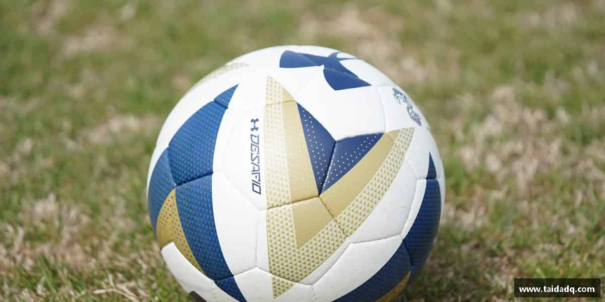 南宫体育中国踏实拼搏，成功由你掌握。